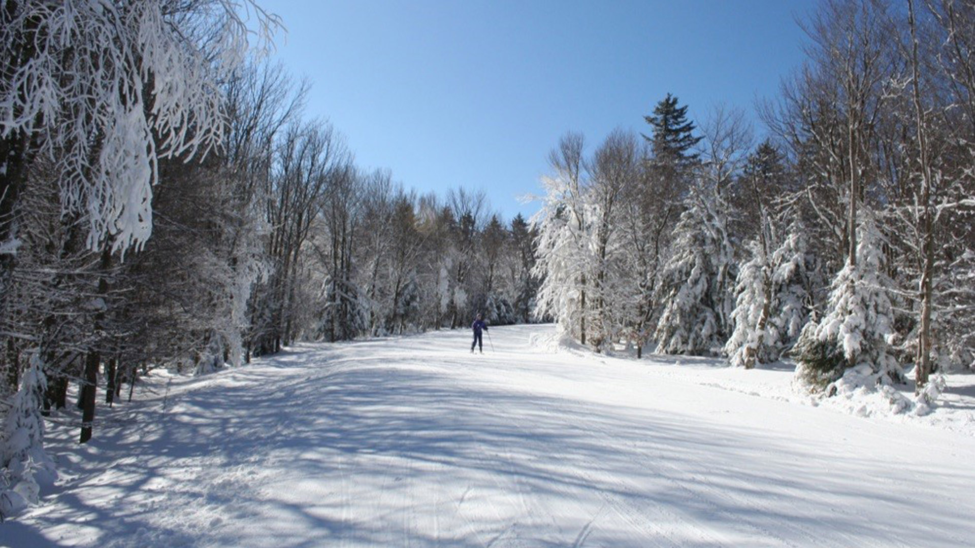 Gov. Justice congratulates Timberline Mountain on grand opening for ...