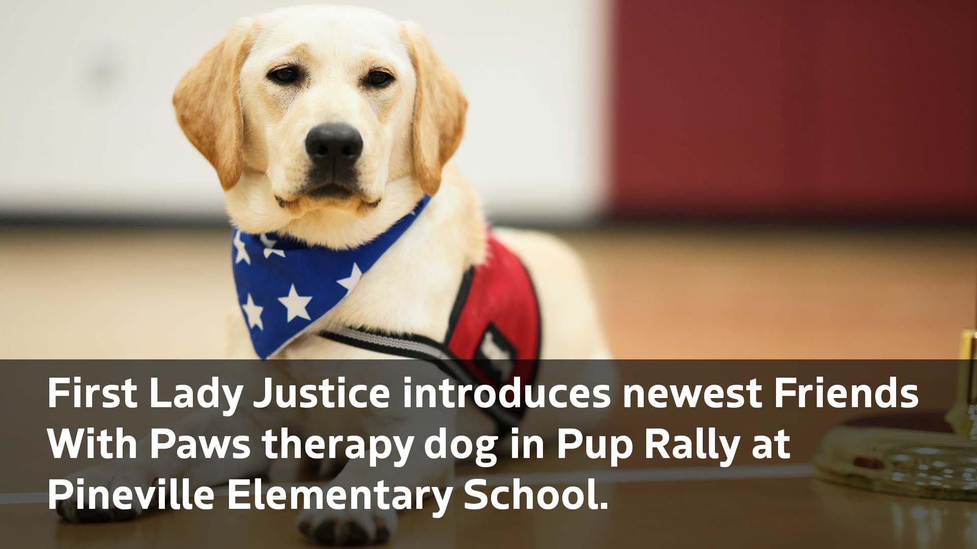 A very good girl: U of L Health celebrates therapy dog on National